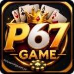 P67 Game