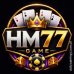 HM77 Game login