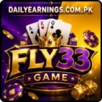 FLY33 Game guide