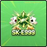 SKE999 Game guide